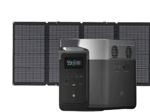 Комплект EcoFlow DELTA Max(1600) + 220W Solar Panel